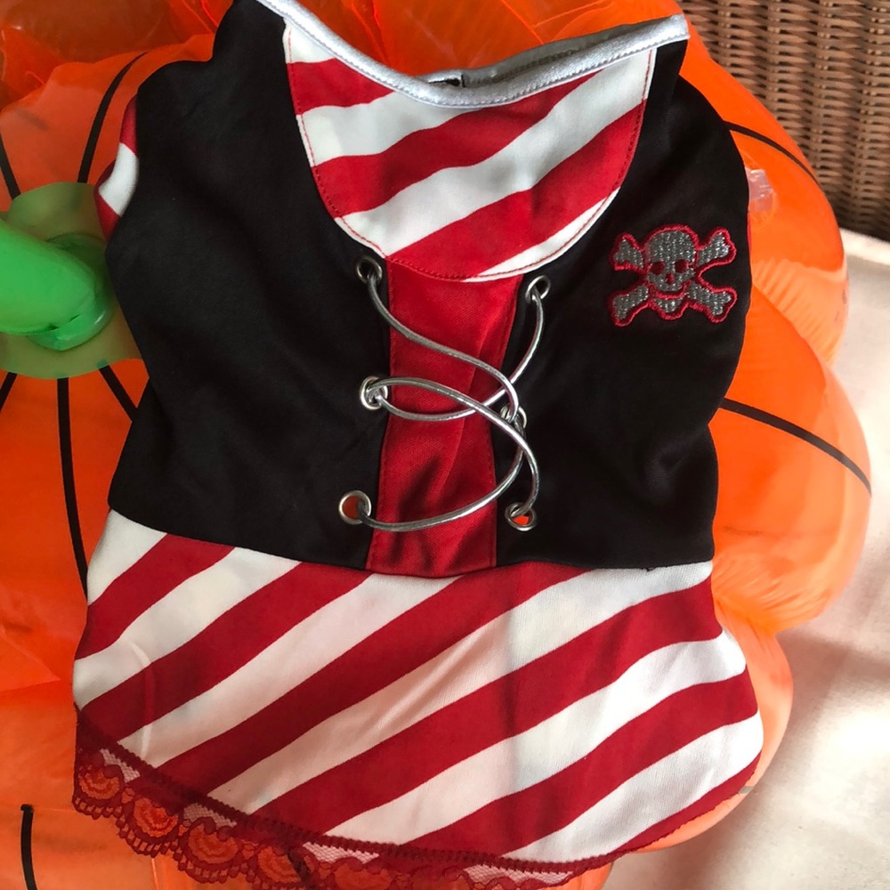 Pirate Doggie costume